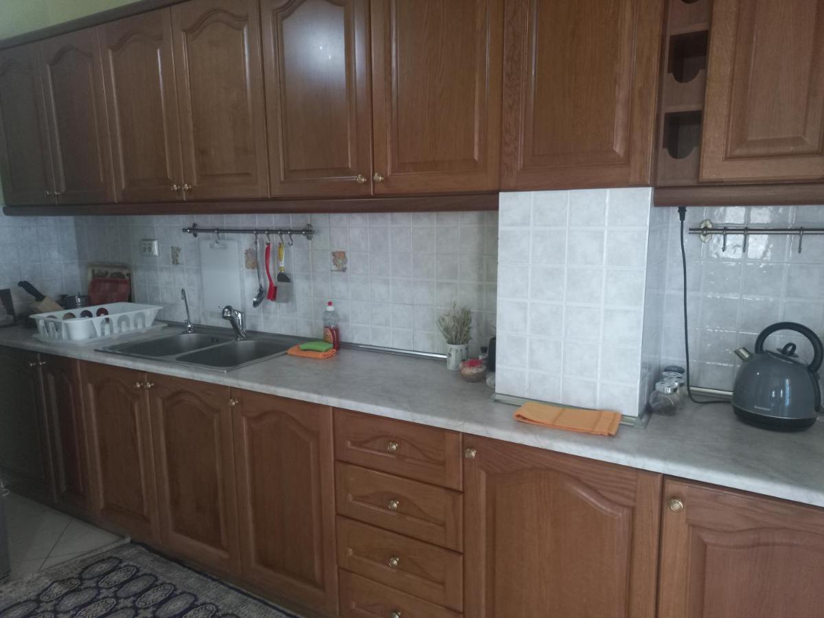 Big Apartment Next To Olympus Mountain Λιτόχωρο Εξωτερικό φωτογραφία